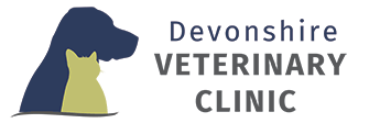 Link to Homepage of Devonshire Veterinary Clinic